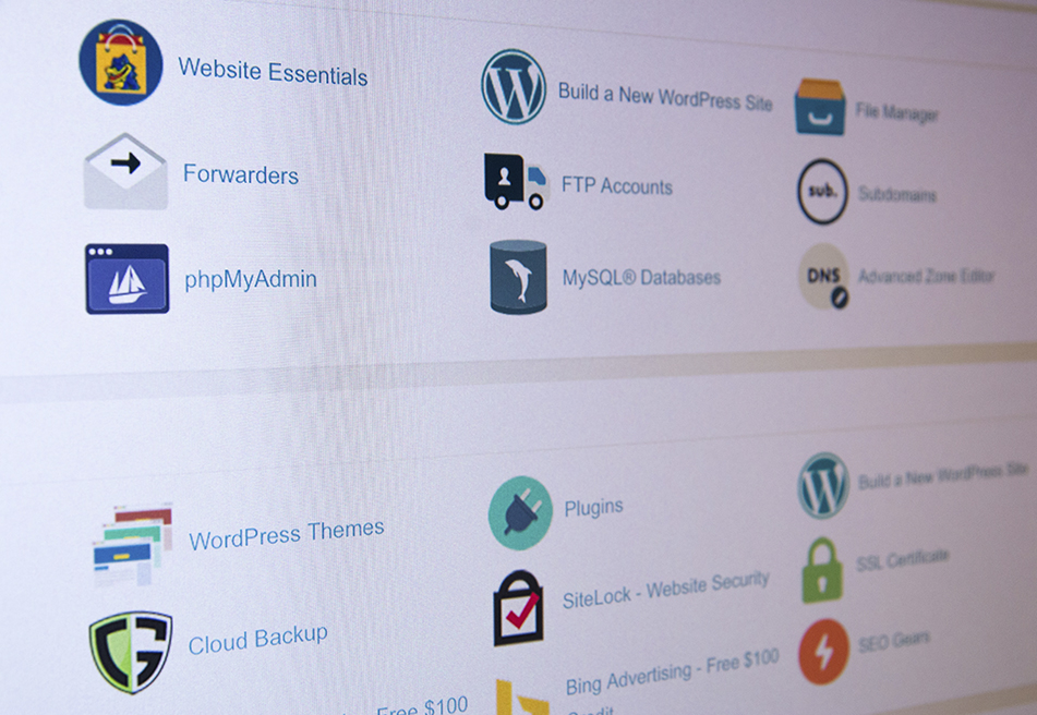diseño web wordpress alicante